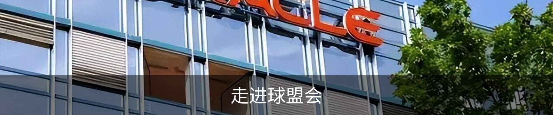 走进球盟会